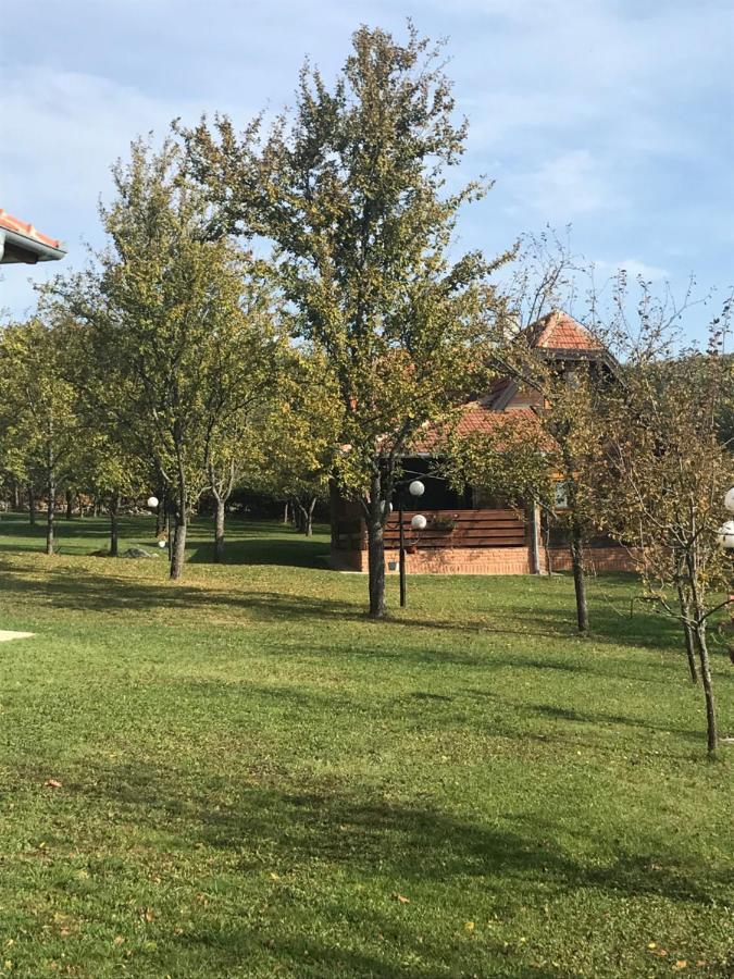 UžiceSeosko Domacinstvo Bondzulic公寓 外观 照片